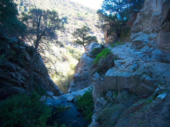 View from the Upper Falls Trail.