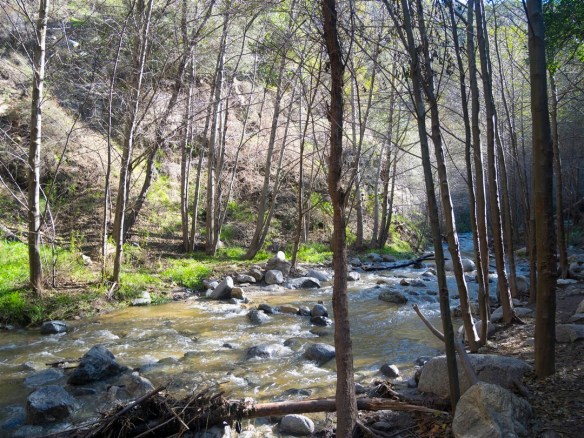 Eaton Falls Trail (1-14-2017)