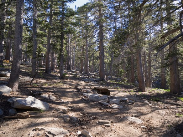 My view on the way back to the Palm Springs Aerial Tramway between Wellman Divide and Round Valley. (6-17-2017)