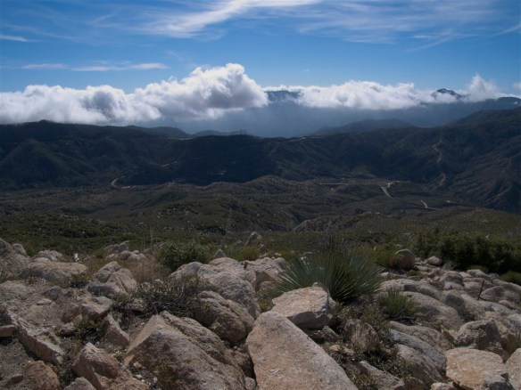 View looking toward Mt. Wilson from Vetter Mountain.