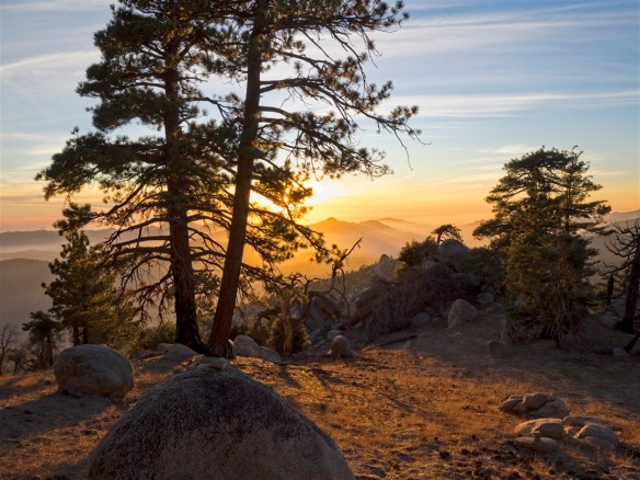 Angeles National Forest